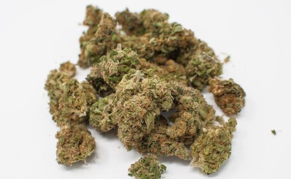 5 Cannabis Strains For Chronic Pain