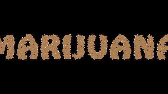 Brief history of cannabis illegalization in the USA