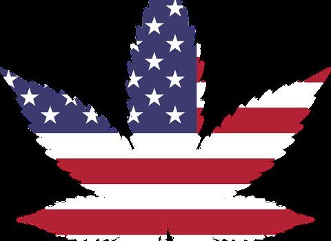 MEDICAL MARIJUANA USERS AND EMPLOYMENT POLICY IN USA