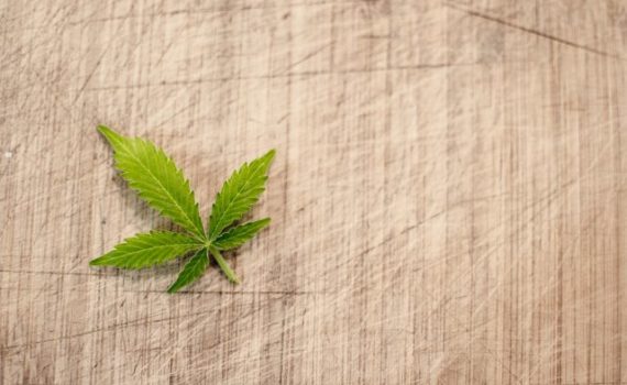 The Growing Cannabis Industry