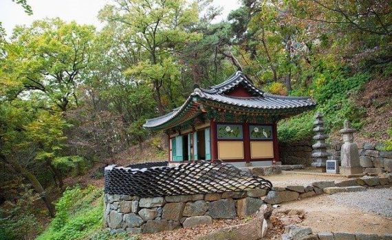 How to make Bokashi for your cannabis plants