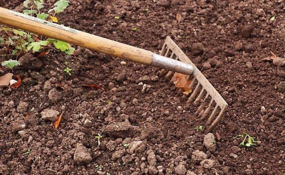 Hugel Culture probably the best soil amendment