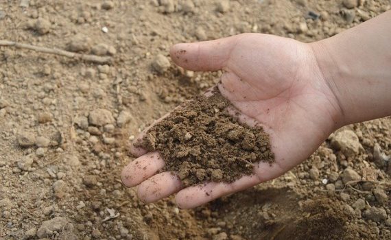 The perfect soil to grow cannabis