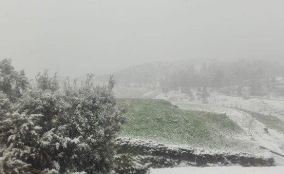 Breeders who learned in Ketama (Morocco)