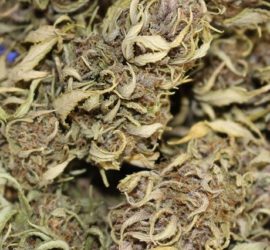 THCVEl THCV (Tetrahidrocannabivarina)