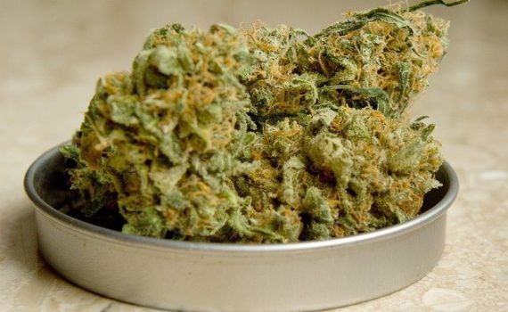 ¿La marihuana conduce al uso de otras drogas?