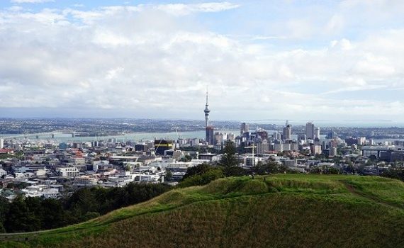 New Zealand Awards First-Ever Medical Cannabis Growing License