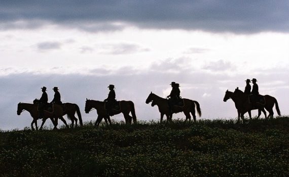 Cannabis legal status in Texas
