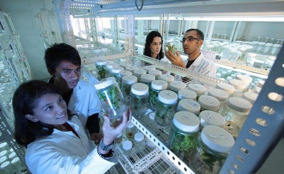 A College in Ohio is set to Offer Cannabis Lab Technician Major