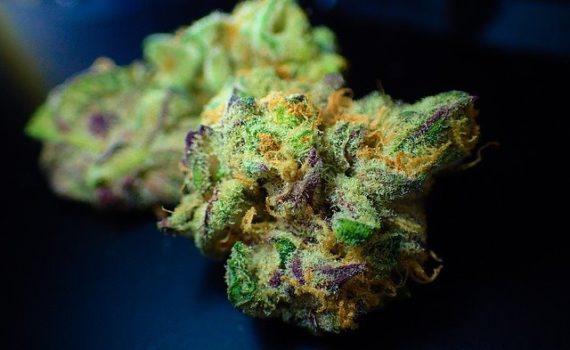 Where will Canadians buy Weed