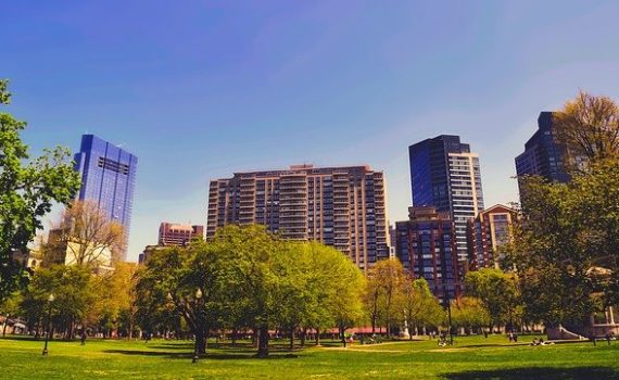 Recreational Cannabis Sales Officially Commences in Massachusetts