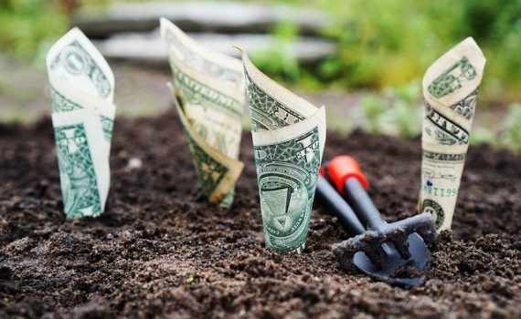 he Cannabis Industry in Nevada Generates Millions in Tax Revenue