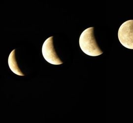 Moon calendar to grow cannabis-calendario lunar