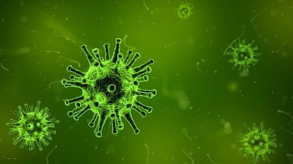 Virus in cannabis