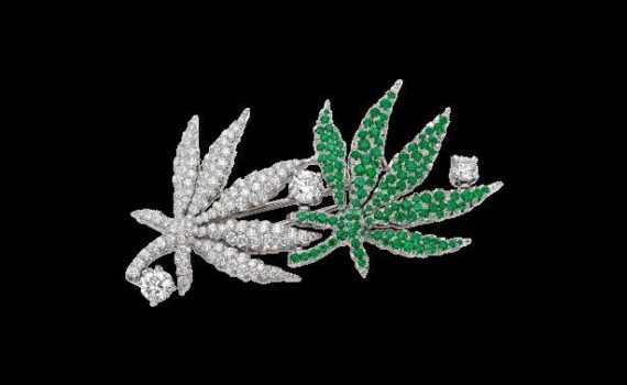 Top jewelry industry in the cannabis sector