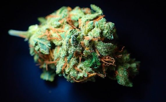 Will medical cannabis exports be a source of revenue for Israel