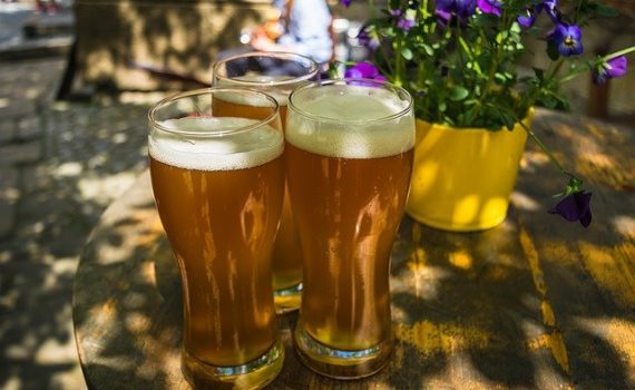 Scientists brew cannabinoids from beer yeast