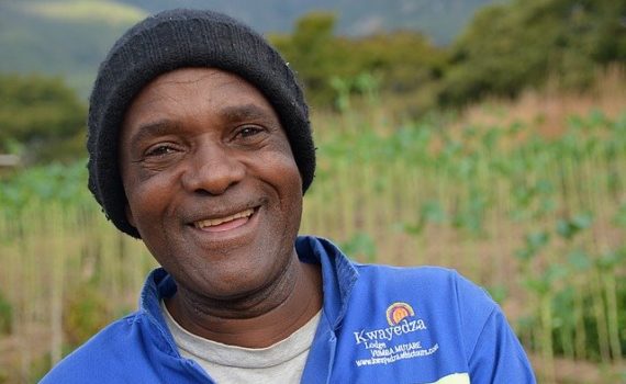 Cannabis in Zimbabwe - Cannabis en Zimbabue