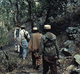 legalización del cannabis y terrorismo