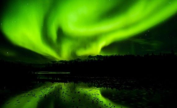 Cannabis shortage in Canada - Escasez de cannabis en Canadá