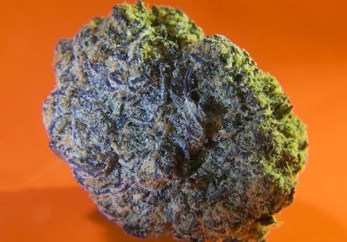 The illegal cannabis market increases in California after legalization