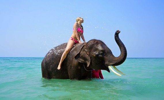 marijuana in Thailand