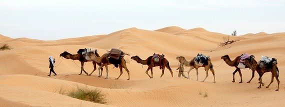 Cannabis in Tunisia-Cannabis en Tunez