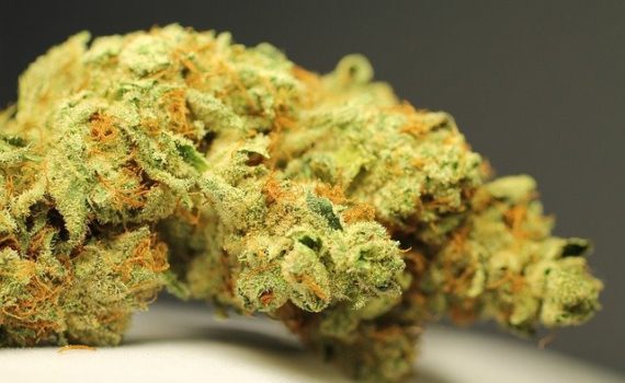 RSO, el aceite de cannabis que repudió la industria farmacéutica