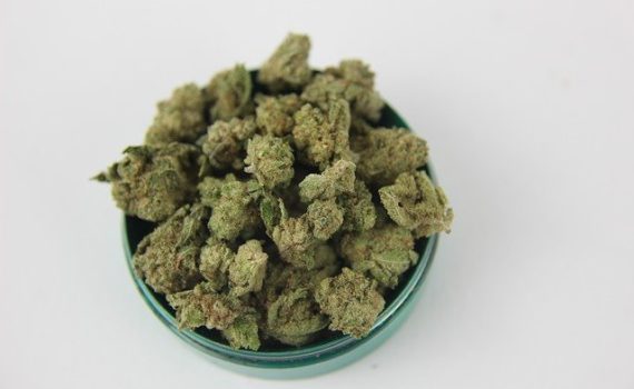 Recreational marijuana sales in Maine will begin in 2020