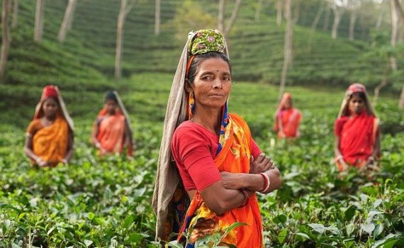 The legalization of hemp in India is raised