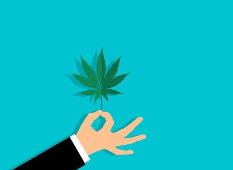 Too many investors in the cannabis industry are waiting for the illegal marijuana market to disappear, but it seems that this will not happen at the moment