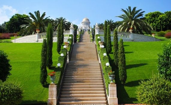 7 nuevas empresas israelíes reciben licencias de cultivo de cannabis