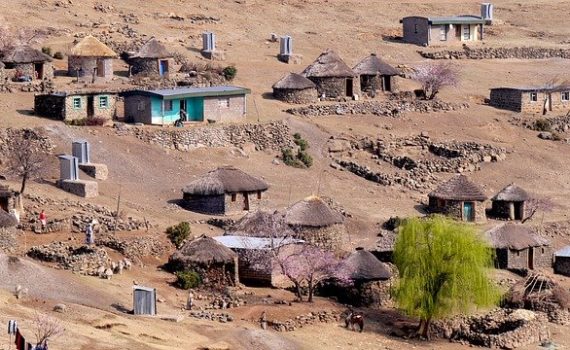 Lesoto quiere liderar la producción de cannabis medicinal en África