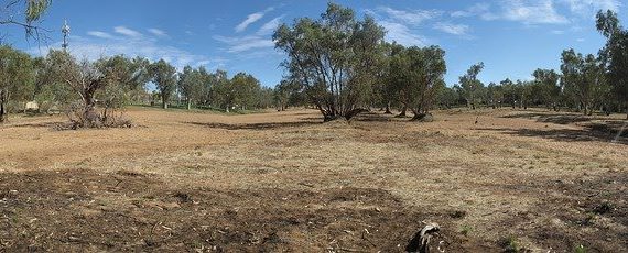 La marihuana podría activar la economía en el norte de australia
