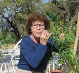 Una activista española del cannabis se enfrenta a 4 años de cárcel
