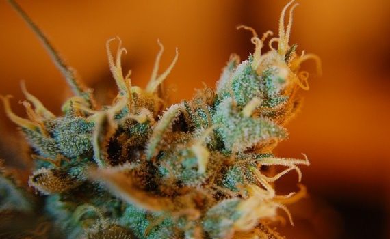 Una mujer israelí muere cuando el gobierno le retira el cannabis