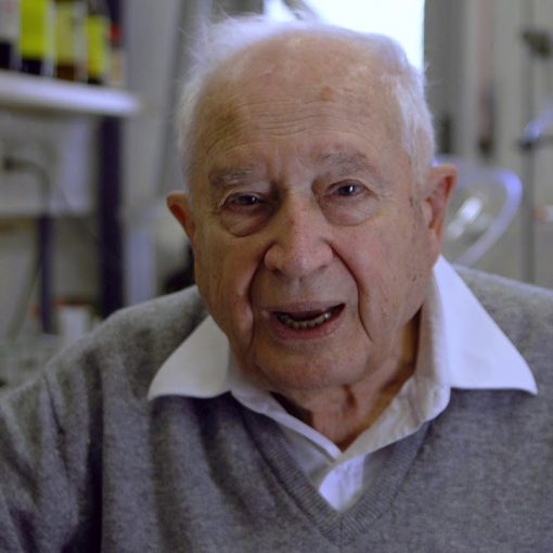 Raphael Mechoulam presents his latest research at CannaMed 2019