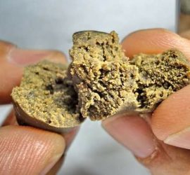 Dawamesk, el hachís medicinal